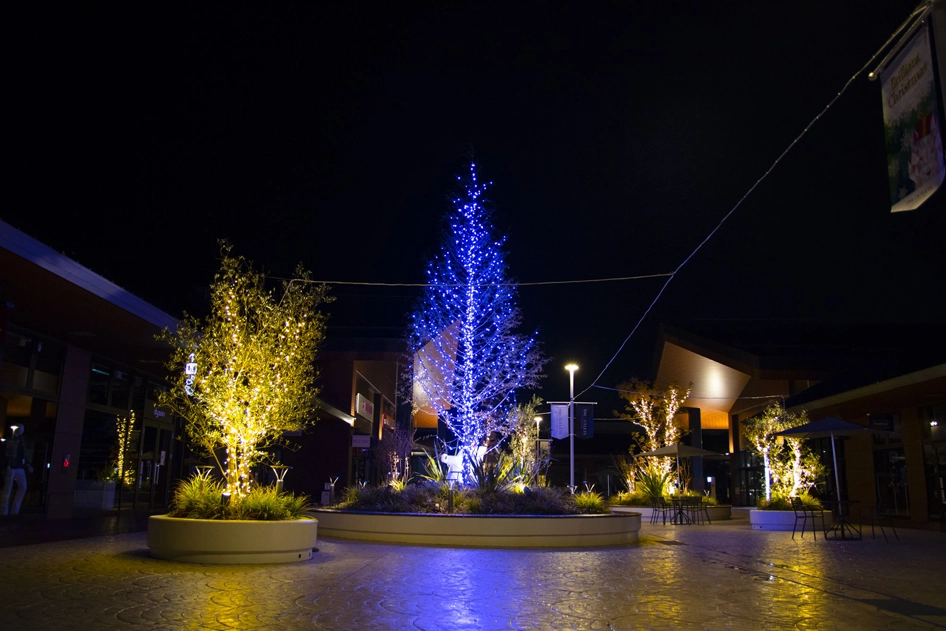 クリスマスモニュメントの全体図です。